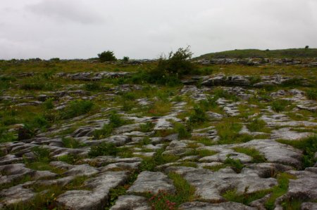 The Burren and Cliffs of Moher 066a